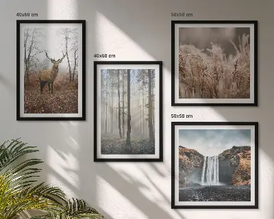 Galería de pared paisajes de naturaleza salvaje y bosques