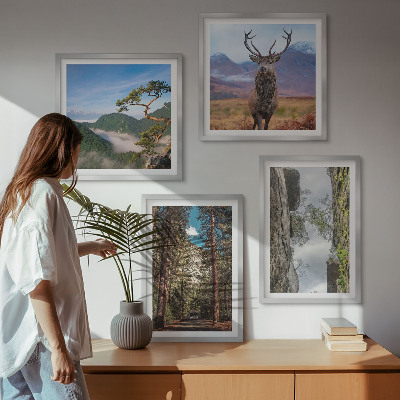 Set de 4 cuadros para salón Carretera bosque montañas ciervo naturaleza