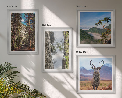 Set de 4 cuadros para salón Carretera bosque montañas ciervo naturaleza