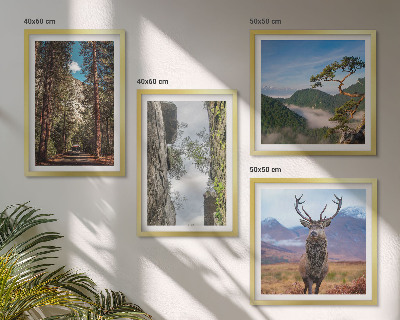 Set de 4 cuadros para salón Carretera bosque montañas ciervo naturaleza