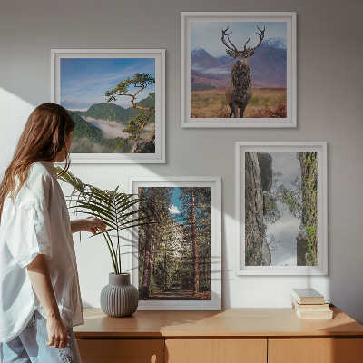 Set de 4 cuadros para salón Carretera bosque montañas ciervo naturaleza
