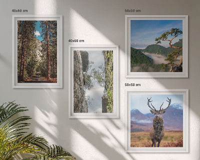 Set de 4 cuadros para salón Carretera bosque montañas ciervo naturaleza
