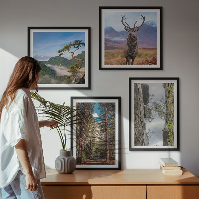 Set de 4 cuadros para salón Carretera bosque montañas ciervo naturaleza