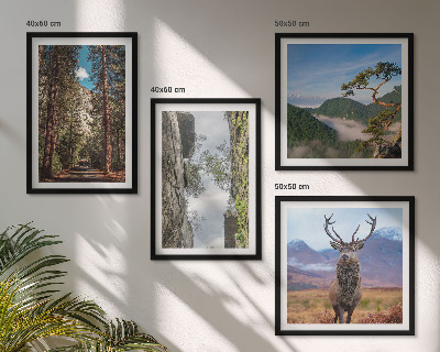 Set de 4 cuadros para salón Carretera bosque montañas ciervo naturaleza