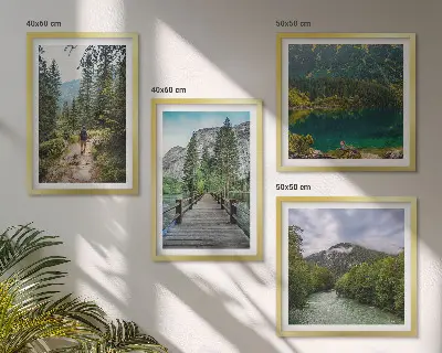 Galería de pared con motivos de montañas, lagos, bosques y senderos
