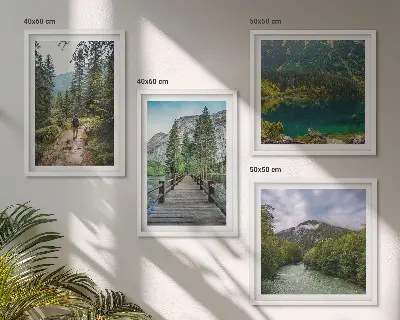 Galería de pared con motivos de montañas, lagos, bosques y senderos