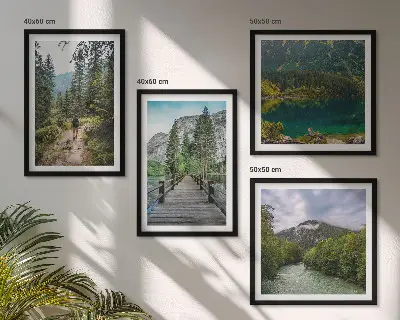 Galería de pared con motivos de montañas, lagos, bosques y senderos