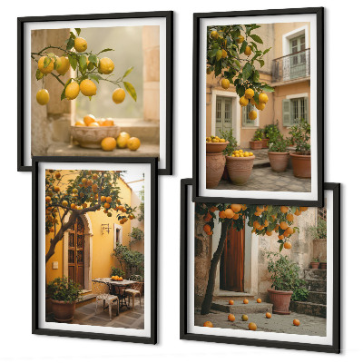 Galería de pared Jardín de cítricos al sol