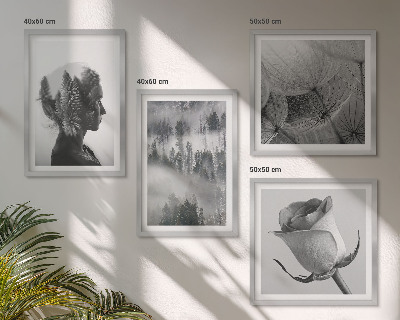 Set de 4 cuadros para salón Retrato de una mujer entre la niebla del bosque