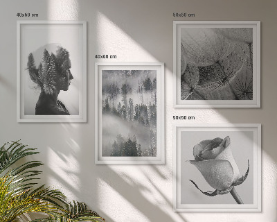 Set de 4 cuadros para salón Retrato de una mujer entre la niebla del bosque