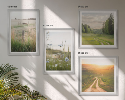 Set de cuadros modernos para salón Paisajes, naturaleza, campos, sol