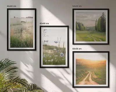Set de cuadros modernos con paisajes de naturaleza y campos bajo el sol