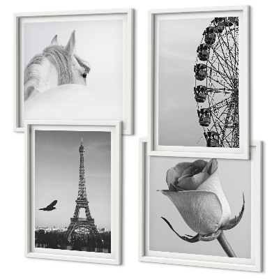 Set de cuadros modernos para salón Rosa Torre Eiffel Caballo Noria Blanco y negro