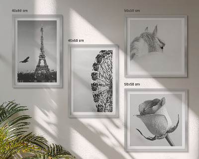 Set de cuadros modernos para salón Rosa Torre Eiffel Caballo Noria Blanco y negro