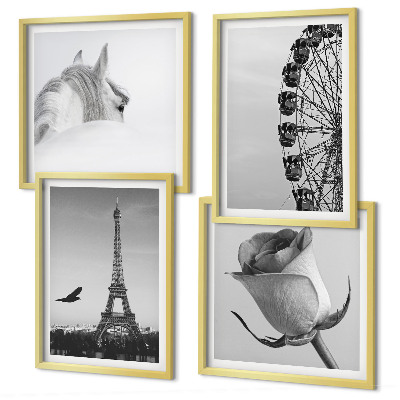 Set de cuadros modernos para salón Rosa Torre Eiffel Caballo Noria Blanco y negro