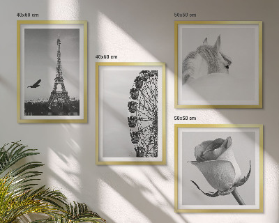 Set de cuadros modernos para salón Rosa Torre Eiffel Caballo Noria Blanco y negro