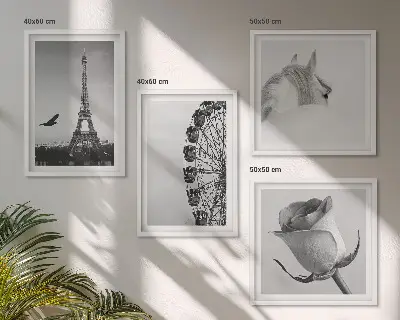 Set de cuadros modernos para salón con diseño de la Torre Eiffel, caballo y noria en blanco y negro