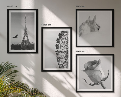 Set de cuadros modernos para salón Rosa Torre Eiffel Caballo Noria Blanco y negro