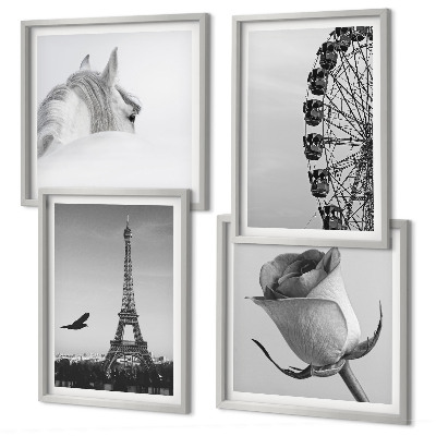 Set de cuadros modernos para salón Rosa Torre Eiffel Caballo Noria Blanco y negro