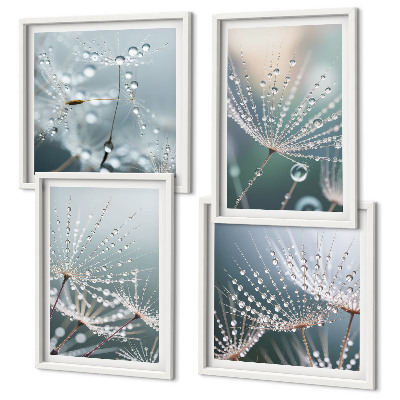 Galería de pared Gotas de agua sobre brotes de diente de león