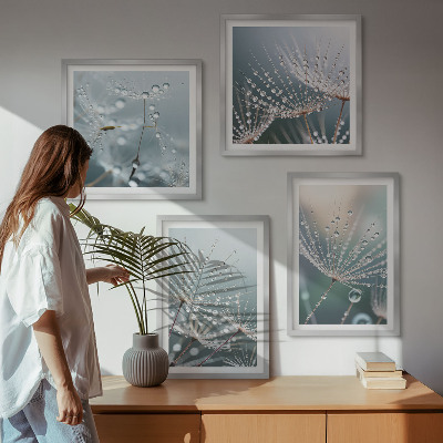 Galería de pared Gotas de agua sobre brotes de diente de león