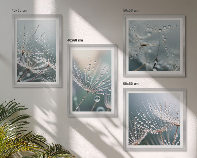 Galería de pared Gotas de agua sobre brotes de diente de león