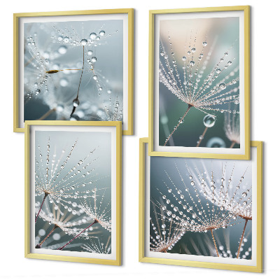 Galería de pared Gotas de agua sobre brotes de diente de león