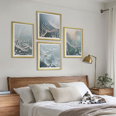 Galería de pared Gotas de agua sobre brotes de diente de león