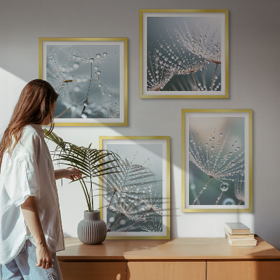 Galería de pared Gotas de agua sobre brotes de diente de león