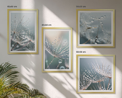 Galería de pared Gotas de agua sobre brotes de diente de león