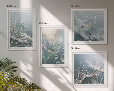 Galería de pared Gotas de agua sobre brotes de diente de león