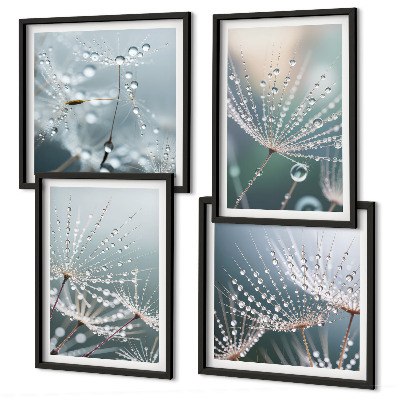 Galería de pared Gotas de agua sobre brotes de diente de león