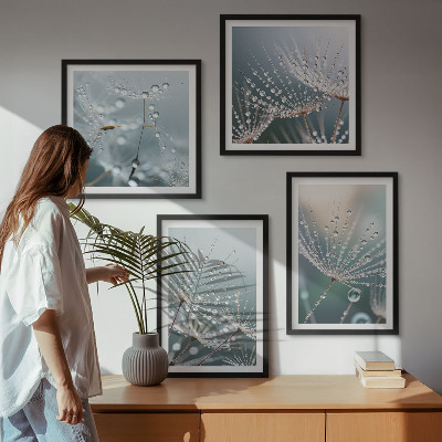 Galería de pared Gotas de agua sobre brotes de diente de león