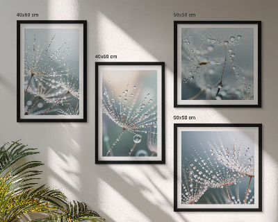 Galería de pared Gotas de agua sobre brotes de diente de león