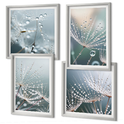 Galería de pared Gotas de agua sobre brotes de diente de león