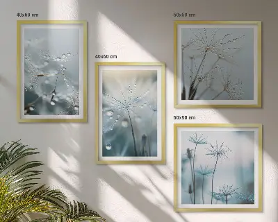 Set de cuadros modernos para salón con diseño de gotas de rocío sobre dientes de león