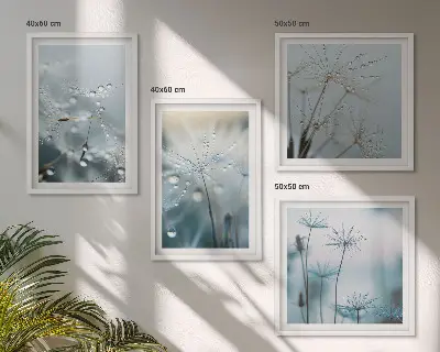Set de cuadros modernos para salón con diseño de gotas de rocío sobre dientes de león