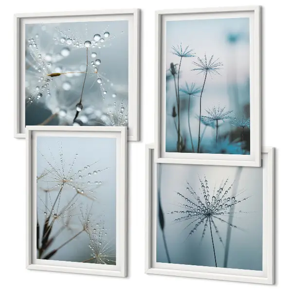 Set de 4 cuadros para salón diseño de gotas de agua sobre diente de león
