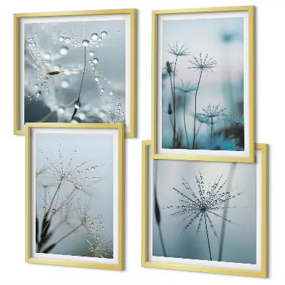 Set de 4 cuadros para salón diseño de gotas de agua sobre diente de león