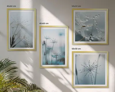 Set de 4 cuadros para salón diseño de gotas de agua sobre diente de león