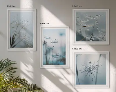 Set de 4 cuadros para salón diseño de gotas de agua sobre diente de león