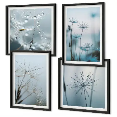 Set de 4 cuadros para salón diseño de gotas de agua sobre diente de león