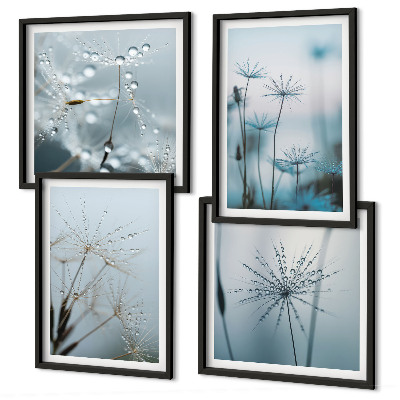 Set de 4 cuadros para salón Gotas de agua de diente de león