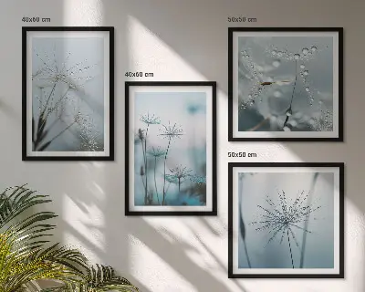 Set de 4 cuadros para salón diseño de gotas de agua sobre diente de león