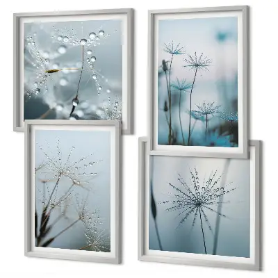 Set de 4 cuadros para salón diseño de gotas de agua sobre diente de león