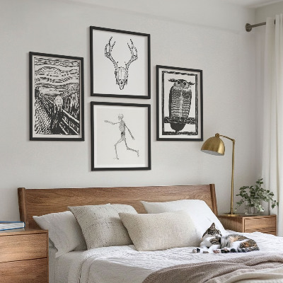 Galería de pared Inspiración Grito Calavera Búho