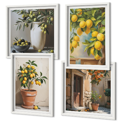 Set de 4 cuadros para salón Limoneros en macetas