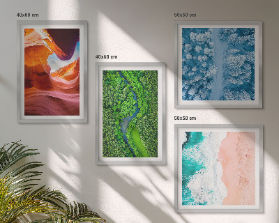 Galería de pared Vegetación del cañón de agua en invierno