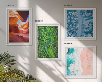Galería de pared Vegetación del cañón de agua en invierno