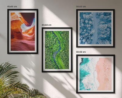Galería de pared Vegetación del cañón de agua en invierno